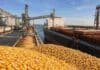Exportaciones agro en récord: Argentina embarcó 69 millones de toneladas entre enero y julio Puerto agroexportador argentino con granos de maíz y soja, silos, camiones y un buque carguero durante la carga de exportaciones.