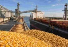 Exportaciones agro en récord: Argentina embarcó 69 millones de toneladas entre enero y julio Puerto agroexportador argentino con granos de maíz y soja, silos, camiones y un buque carguero durante la carga de exportaciones.