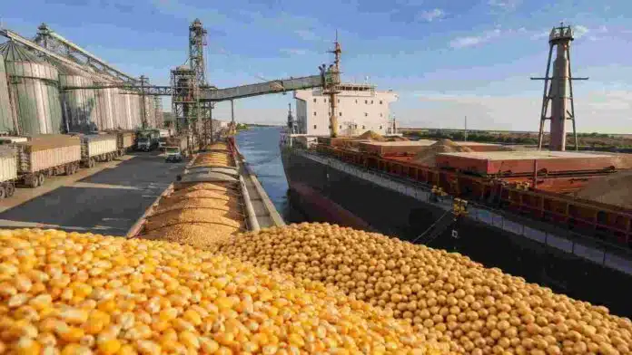 record-exportaciones-agroindustriales-argentina-2026 Puerto agroexportador argentino con granos de maíz y soja, silos, camiones y un buque carguero durante la carga de exportaciones.
