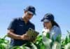 Tropfen acelera su expansión regional con producción propia Técnicos de Tropfen analizan datos en una tablet durante la evaluación de un cultivo de maíz a campo.