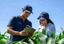 Tropfen acelera su expansión regional con producción propia Técnicos de Tropfen analizan datos en una tablet durante la evaluación de un cultivo de maíz a campo.