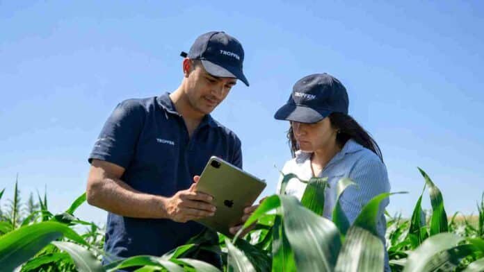 Técnicos de Tropfen analizan datos en una tablet durante la evaluación de un cultivo de maíz a campo.
