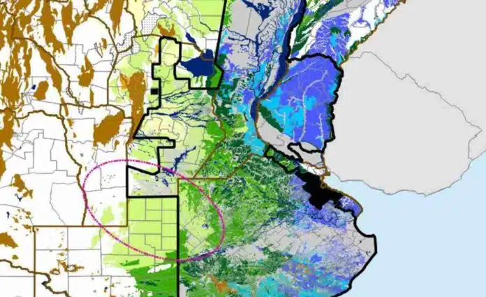 Mapa de reservas de agua en el suelo para trigo temprano, con excesos hídricos en el Litoral, Santa Fe y sectores de Buenos Aires.