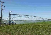 Producciones bajo riego ya pueden pedir el beneficio de IVA sobre la energía en Santa Fe Sistema de riego por pivote central funcionando sobre un cultivo agrícola en Santa Fe, con infraestructura eléctrica asociada.