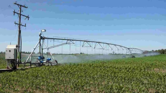 riego-agropecuario-santa-fe-energia-electrica Sistema de riego por pivote central funcionando sobre un cultivo agrícola en Santa Fe, con infraestructura eléctrica asociada.