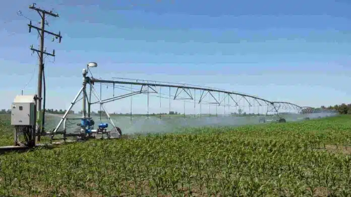 riego-agropecuario-santa-fe-energia-electrica Sistema de riego por pivote central funcionando sobre un cultivo agrícola en Santa Fe, con infraestructura eléctrica asociada.