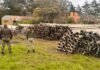 Golpe al campo en Balcarce: robaron 900 caños y nueve equipos de riego Policías rurales junto a caños y equipos de riego recuperados tras un robo en un establecimiento rural de Balcarce, Buenos Aires.