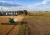 El BID revela que la productividad del agro argentino perdió fuerza desde los 2000 Producción agropecuaria argentina con cosechadora, silos, cultivos y ganado en un establecimiento de la región pampeana.