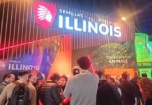Aapresid 2026: qué híbridos de maíz buscaron productores y asesores Stand de Semillas Illinois con especialistas en maíz y asistentes durante una exposición agroindustrial.