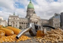 Bioetanol: el Senado busca acelerar la suba del corte del 12% al 15% en los combustibles Congreso Nacional, maíz, soja y combustible para representar el debate legislativo sobre biocombustibles.