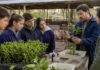 SENASA unió sanidad vegetal y animal en una jornada inédita en Concordia Estudiantes agrotécnicos participan de una capacitación sobre HLB, triquinosis y prevención sanitaria en Concordia, Entre Ríos.