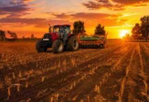 El clima mejoró en el centro norte santafesino y las labores agrícolas se reanudan de a poco Tractor con sembradora trabajando en un lote agrícola al atardecer, con cielo naranja y el sol sobre el horizonte.