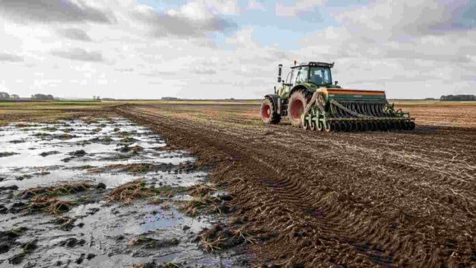 siembra-cebada-campos-encharcados-argentina Tractor sembrando cebada en un lote con exceso de humedad y sectores encharcados, una escena que refleja la demora de la campaña en los núcleos cebaderos del sur de Argentina.