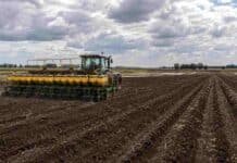 Girasol: la siembra ya cubre el 16,7% del área proyectada Tractor con sembradora trabajando en un lote destinado a girasol durante la campaña 2026/27, con suelo húmedo y cielo nublado.