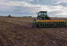 Entre Ríos inició la siembra de maíz y girasol 2026/27