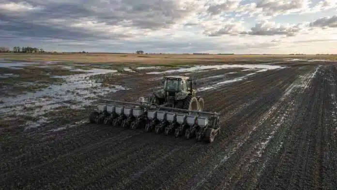 siembra-maiz-temprano-centro-norte-santa-fe Tractor con sembradora de maíz temprano trabajando en un lote húmedo y con sectores encharcados del centro norte de Santa Fe.