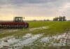El agua frena al trigo pero no al girasol, que gana terreno en el NEA Tractor con sembradora trabajando en un lote con exceso de humedad durante el cierre de la siembra de trigo en Argentina.