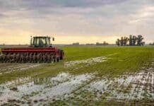 El agua frena al trigo pero no al girasol, que gana terreno en el NEA Tractor con sembradora trabajando en un lote con exceso de humedad durante el cierre de la siembra de trigo en Argentina.