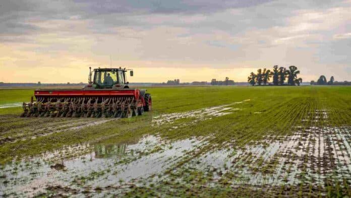 Tractor con sembradora trabajando en un lote con exceso de humedad durante el cierre de la siembra de trigo en Argentina.