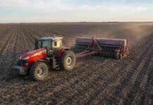 Trigo: finalizó la siembra y crecen las expectativas de rinde Tractor Massey Ferguson con sembradora Super Walter durante la siembra de trigo en un campo de la Pampa Húmeda argentina.