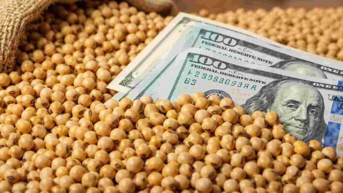 Semillas de soja junto a billetes de cien dólares, en referencia al ingreso de divisas del sector agroexportador.