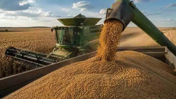 soja-precio-record-ventas-productores Cosechadora descarga soja durante la cosecha, en un contexto de suba del precio interno y fuerte aumento de las ventas de productores.