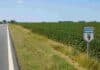 Dos proyectos buscan habilitar cultivos junto a rutas nacionales y sumar hasta 50.000 hectáreas Cultivo de soja junto a una ruta nacional argentina, en una zona agrícola con banquina y señal vial.