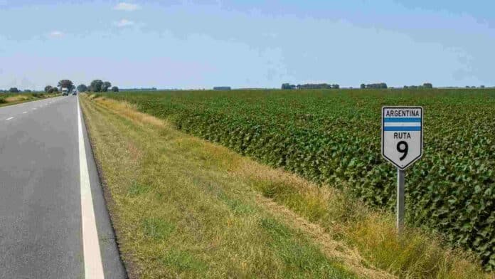 soja-ruta-nacional-argentina-cultivos Cultivo de soja junto a una ruta nacional argentina, en una zona agrícola con banquina y señal vial.