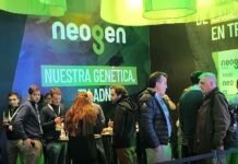 Genética y tecnología: así fue la propuesta de soja de Neogen en el Congreso Aapresid Stand de Neogen durante el Congreso Aapresid 2026, con visitantes y representantes de la empresa en el espacio dedicado a genética de soja.
