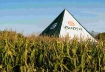Maíz: diagnóstico y tecnología permiten llevar el nitrógeno más cerca de floración Lote de maíz junto a una estructura de Supra Semillas durante una jornada técnica vinculada al Congreso Aapresid 2026.