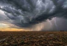Cambia el tiempo: vuelven las tormentas y el norte llegará a 37 °C Tormenta con cortina de lluvia y relámpagos avanzando sobre un campo agrícola de la región central de Argentina