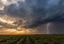 El SMN prevé tormentas en el NEA y frío polar en la región pampeana hacia el viernes Tormenta eléctrica sobre un campo de cultivo del norte argentino, con nubes cumulonimbus, relámpagos y luz dorada de atardecer.