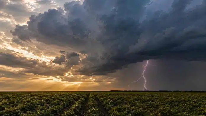 tormenta-electrica-campo-norte-argentino Tormenta eléctrica sobre un campo de cultivo del norte argentino, con nubes cumulonimbus, relámpagos y luz dorada de atardecer.