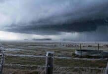El NEA inicia una secuencia de tormentas que terminará con heladas Tormenta fuerte con lluvia fría, ráfagas y escarcha sobre un campo de la región pampeana.