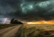 Tormentas fuertes, granizo y lluvias intensas en el NEA Frente de tormenta severa con relámpago sobre un campo de trigo y un camino rural en Argentina.