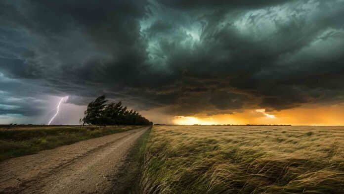 Frente de tormenta severa con relámpago sobre un campo de trigo y un camino rural en Argentina.
