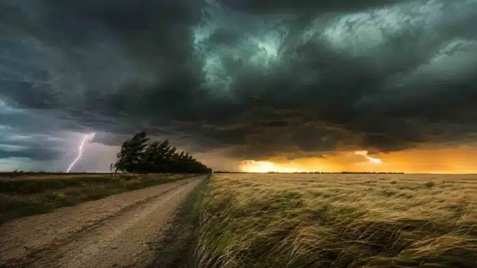 tormenta-severa-campo-argentino Frente de tormenta severa con relámpago sobre un campo de trigo y un camino rural en Argentina.