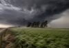 Alerta naranja y ráfagas de más de 90 km/h: 18 provincias bajo advertencia Tormenta severa avanza sobre un campo argentino con fuertes ráfagas de viento que doblan los cultivos y los árboles.