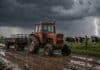 Tormentas fuertes afectan a Buenos Aires, Corrientes y Misiones: prevén granizo y hasta 40 mm Tractor antiguo con acoplado y tarros de leche circula por un camino rural embarrado durante una tormenta, junto a vacas Holando-Argentino.