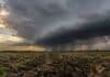 El tiempo cambia hacia el domingo: las tormentas avanzan sobre el Litoral y el norte llega a 30 °C Tormenta avanzando sobre un campo del Litoral argentino, con cortinas de lluvia y un relámpago en el horizonte.