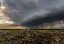El tiempo cambia hacia el domingo: las tormentas avanzan sobre el Litoral y el norte llega a 30 °C Tormenta avanzando sobre un campo del Litoral argentino, con cortinas de lluvia y un relámpago en el horizonte.