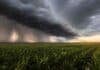 El SMN actualizó el pronóstico: dónde habrá tormentas hasta el viernes Enorme nube arcus con cortinas de lluvia avanzando sobre un cultivo de trigo en la región central argentina.