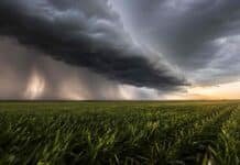 El SMN actualizó el pronóstico: dónde habrá tormentas hasta el viernes Enorme nube arcus con cortinas de lluvia avanzando sobre un cultivo de trigo en la región central argentina.