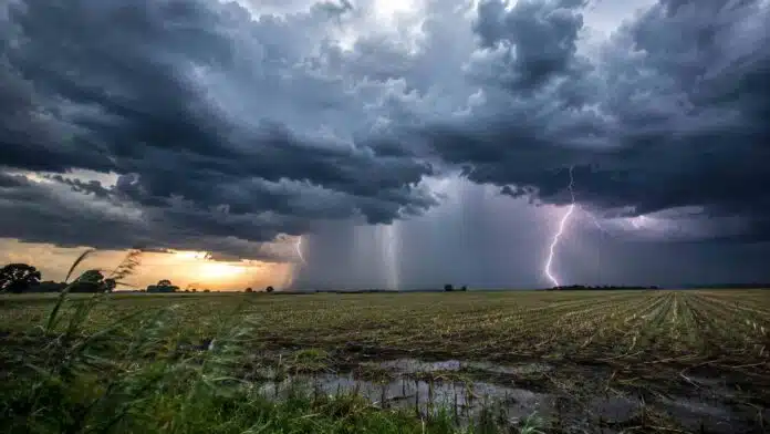 tormentas-santa-fe-lluvias-cordoba Tormenta con lluvias intensas y relámpagos avanzando sobre un campo agrícola de la región pampeana.