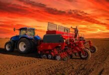 Siembra de trigo: el avance llegó al 99,8% y persisten excesos de humedad Tractor azul y sembradora roja trabajando en un campo agrícola durante un atardecer de tonos rojizos