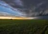 Lluvias en el NEA y heladas en el centro: así llega el fin de semana al campo Lote de trigo en macollaje bajo un frente de tormenta al atardecer en la región pampeana argentina.
