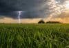 Trigo y gruesa 2026/27: cómo pega el pronóstico climático del SMN Lote de trigo verde con gotas de lluvia en la llanura pampeana, bajo un cielo de tormenta con relámpago y claros de sol, con un tractor y sembradora en el horizonte.