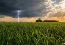 Trigo y gruesa 2026/27: cómo pega el pronóstico climático del SMN Lote de trigo verde con gotas de lluvia en la llanura pampeana, bajo un cielo de tormenta con relámpago y claros de sol, con un tractor y sembradora en el horizonte.