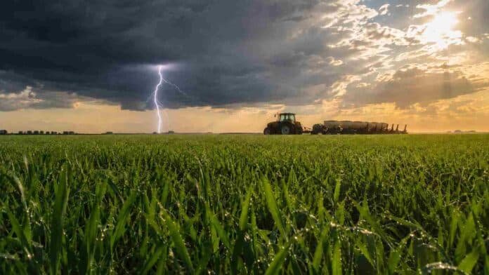 trigo-tormenta-relampago-siembra-directa-pampa Lote de trigo verde con gotas de lluvia en la llanura pampeana, bajo un cielo de tormenta con relámpago y claros de sol, con un tractor y sembradora en el horizonte.