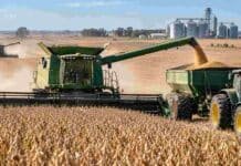 La actividad agropecuaria alcanzó un nuevo máximo histórico Cosecha de granos con maquinaria agrícola y descarga en tolva, una escena representativa del récord de actividad de la cadena agropecuaria medido por el IACA-BCR.
